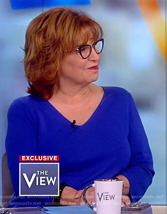 Joy's blue 3/4 sleeve blouse on The View