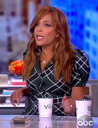 Sunny's green plaid shirtdress on The View