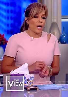 Sunny's pink sheath dress on The View