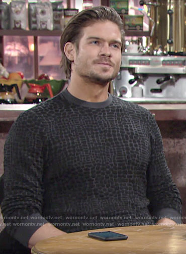 Theo's animal textured sweater on The Young and the Restless