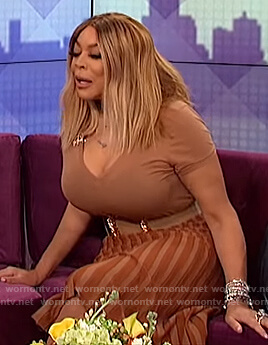 Wendy's brown pleated skirt on The Wendy Williams Show