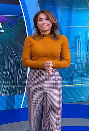 Ginger's orange sweater and plaid pants on Good Morning America