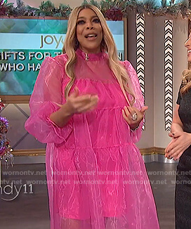 Wendy's pink tulle dress on The Wendy Williams Show