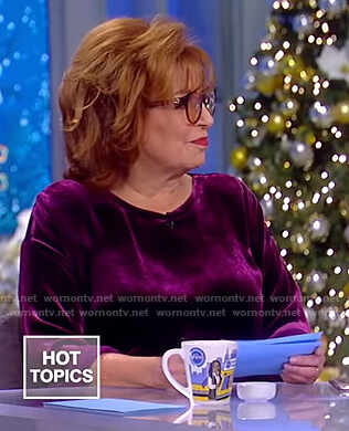 Joy's purple velvet top on The View
