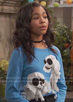 Nia's blue poodle sweater on Ravens Home
