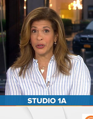 Hoda's white and blue striped blouse on Today