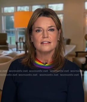 Savannah's rainbow crewneck sweater on Today