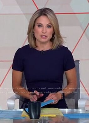 Amy's navy short sleeve dress on Good Morning America