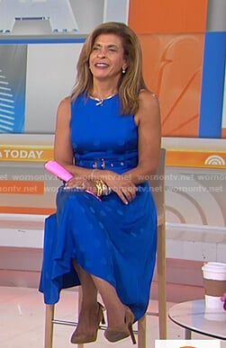 Hoda's blue polka dot belted dress on Today