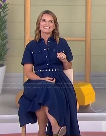 Savannah's blue button front pleated dress on Today