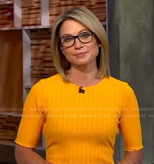 Amy's orange ribbed dress on Good Morning America