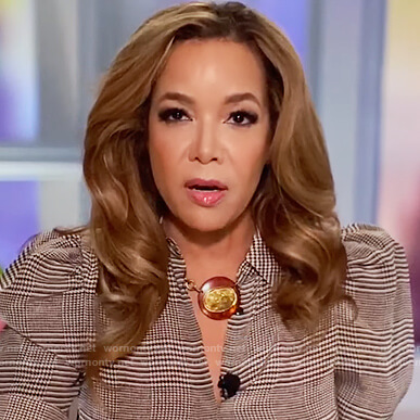 Sunny's brown plaid puff shoulder top on The View