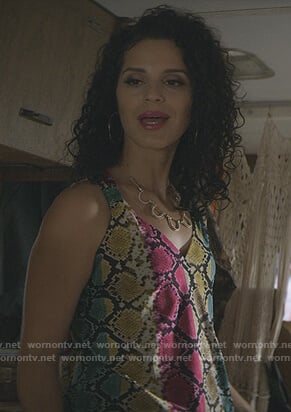 Yolanda's multi colored snakeskin tank on Teenage Bounty Hunters