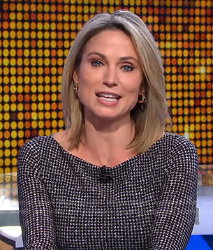 Amy's houndstooth belted dress on Good Morning America