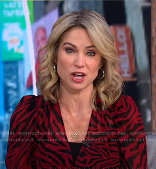 Amy's red zebra print dress on Good Morning America
