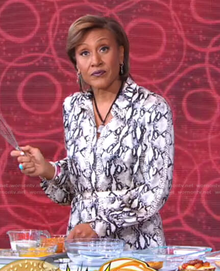 Robin's snake print shirtdress on Good Morning America