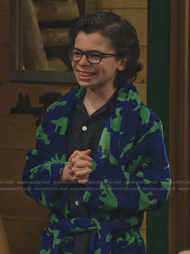 Matteo's blue and green dinosaur robe on Bunkd