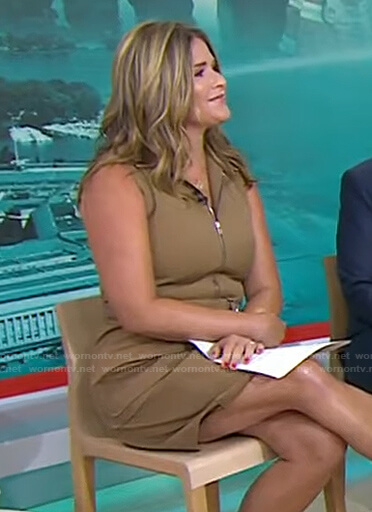 Jenna's brown belted sleeveless dress on Today