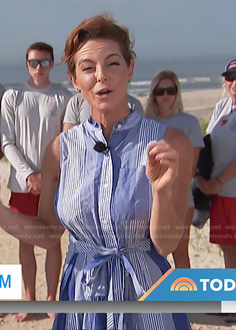 Stephanie Ruhle's blue striped sleeveless dress on Today