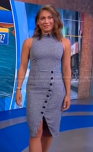 Ginger's houndstooth sleeveless dress on Good Morning America