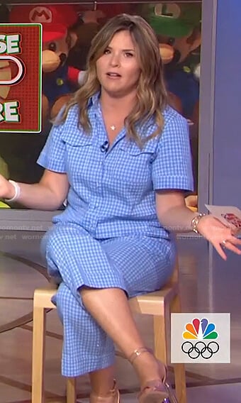 Jenna's blue gingham shirt and pants on Today