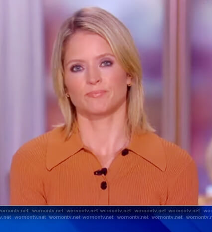 Sara's brown ribbed polo on The View