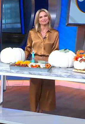 Amy's bronze satin blouse and leather pants on Good Morning America