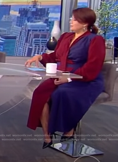 Ana's colorblock tie neck dress on The View