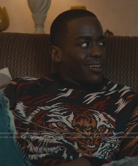 Eric's tiger graphic sweatshirt on Sex Education