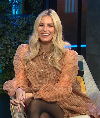 Morgan's brown gingham sheer shirtdress on E! News Daily Pop