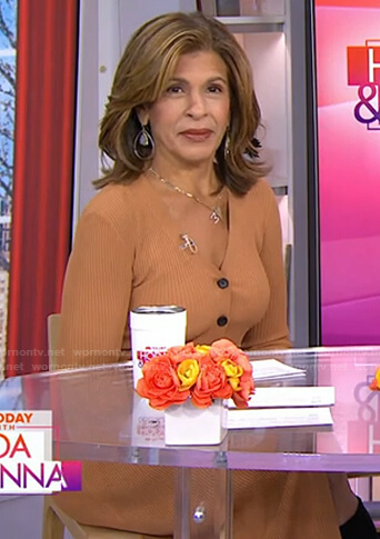 hoda's brown button down ribbed dress on Today