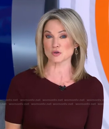 Amy's brown ribbed short sleeve top on Good Morning America