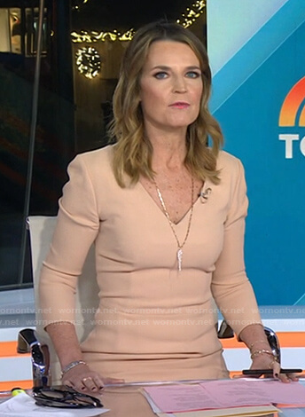 Savannah's beige v-neck sheath dress on Today