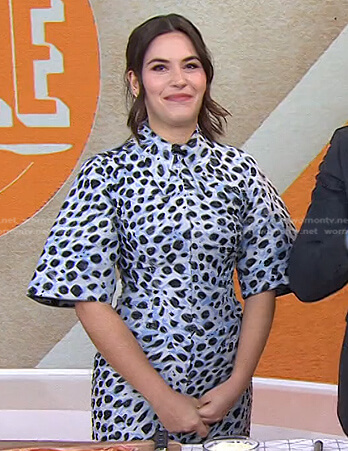 Elena Besser's blue leopard print dress on Today