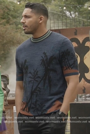 Jordan's palm print tee on All American