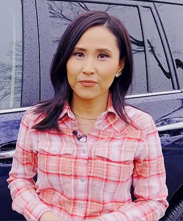 Vicky's pink plaid shirt on Today