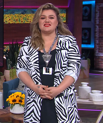 Kelly's zebra stripe blazer dress on The Kelly Clarkson Show