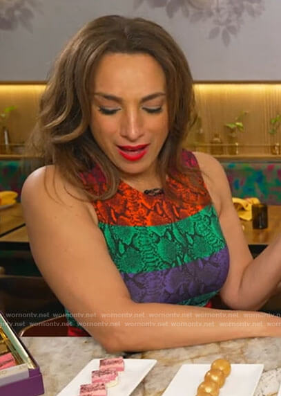 Michelle Miller's rainbow snake print dress on CBS Saturday Mornings