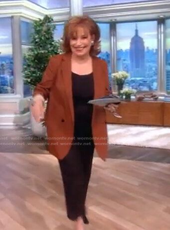 Joy's brown double breasted blazer on The View