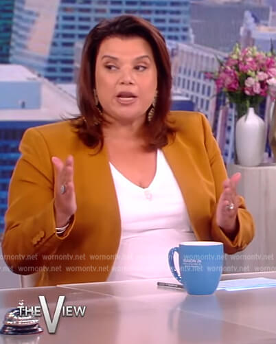 Ana's brown single breasted blazer on The View
