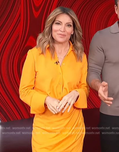 Kit's orange shirtdress on Access Hollywood
