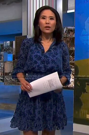 Vicky's blue floral velvet dress on NBC News Daily