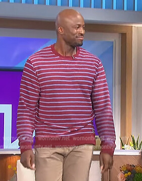 Akbar's purple stripe sweater on The Talk
