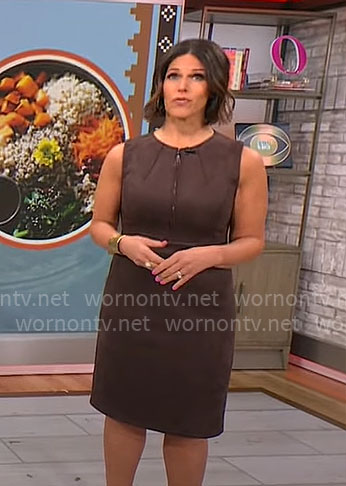 Dana Jacobson's brown zip front sheath dress on CBS Saturday Morning