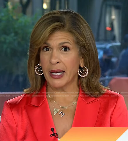 Hoda's hoop earrings and heart necklace on Today