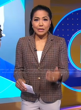 Stephanie's brown plaid blazer on Good Morning America
