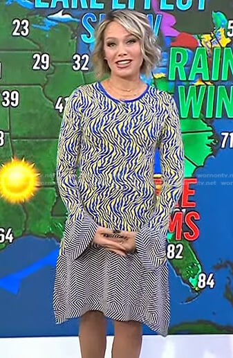 Dylan's blue and yellow zebra dress on Today