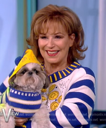 Joy's blue Christmas sweater on The View