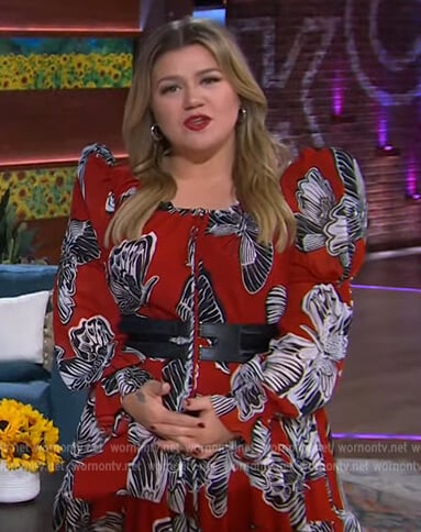 Kelly's red puff sleeve butterfly print dress on The Kelly Clarkson Show