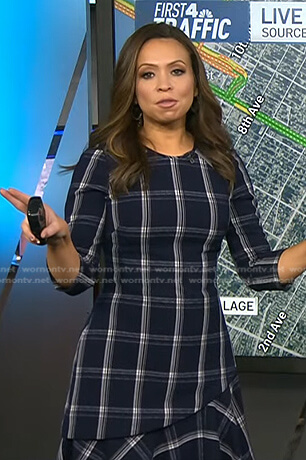 Adelle's navy plaid dress on Today
